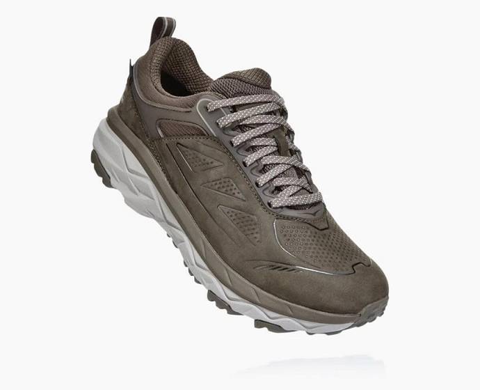 Dámské Trailové Běžecké Boty Hoka Challenger Low GORE-TEX Hnědé | CZ-7682390