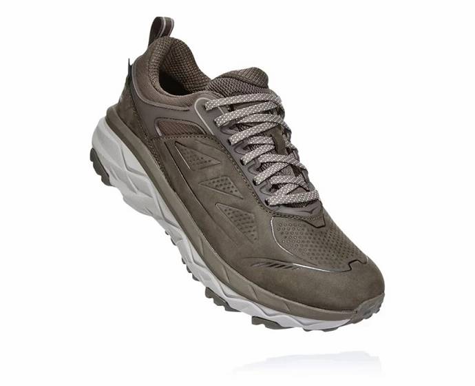 Dámské Turistické Boty Hoka Challenger Low GORE-TEX Hnědé | CZ-4212345