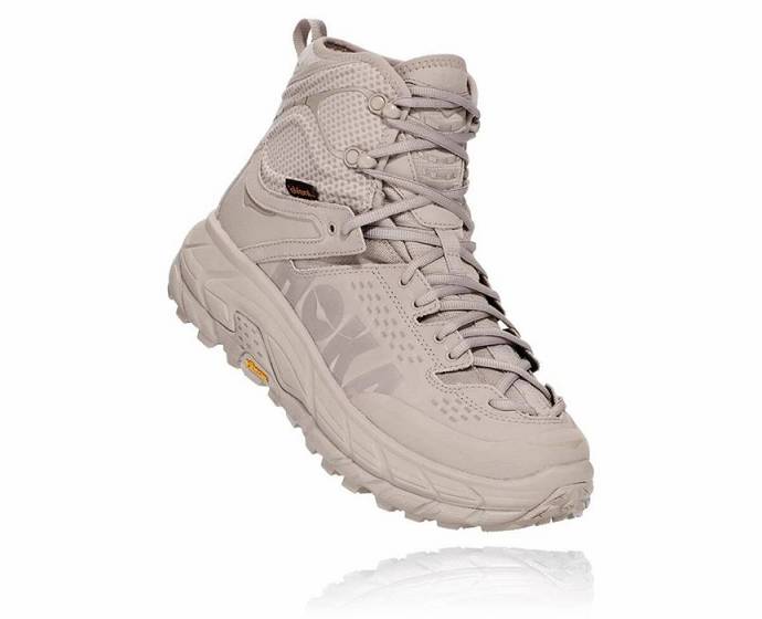 Pánské Turistické Boty Hoka Tor Ultra Hi 2 Nepromokavé Taupe | CZ-8394206