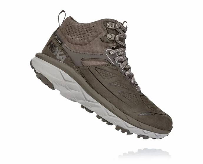 Dámské Běžecké Boty Hoka Challenger Mid GORE-TEX Hnědé | CZ-6574920