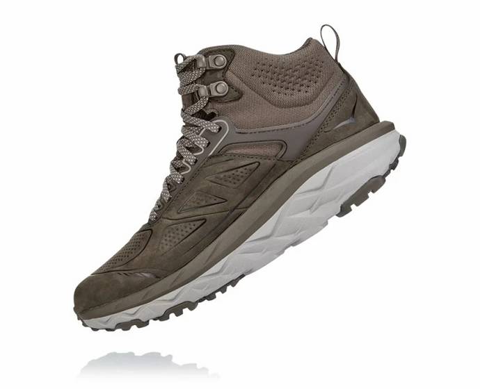 Dámské Běžecké Boty Hoka Challenger Mid GORE-TEX Hnědé | CZ-6574920