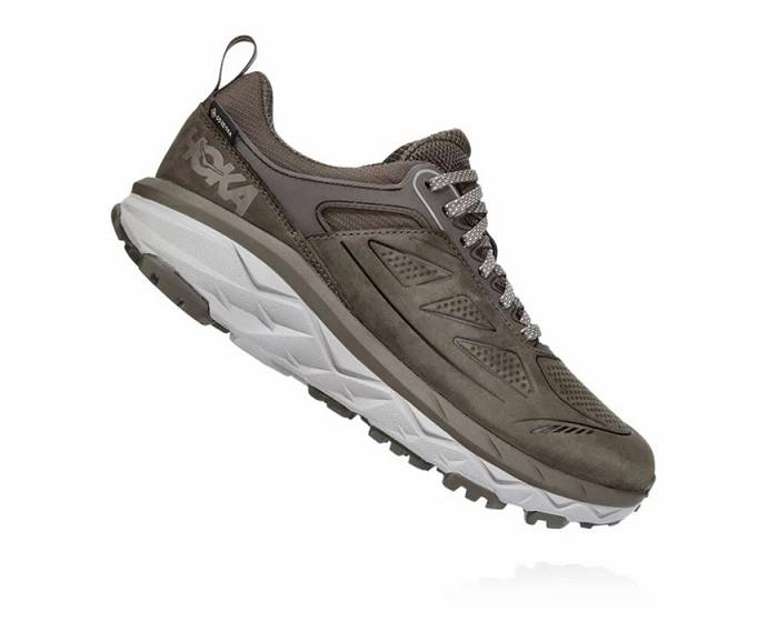 Dámské Turistické Boty Hoka Challenger Low GORE-TEX Hnědé | CZ-4212345