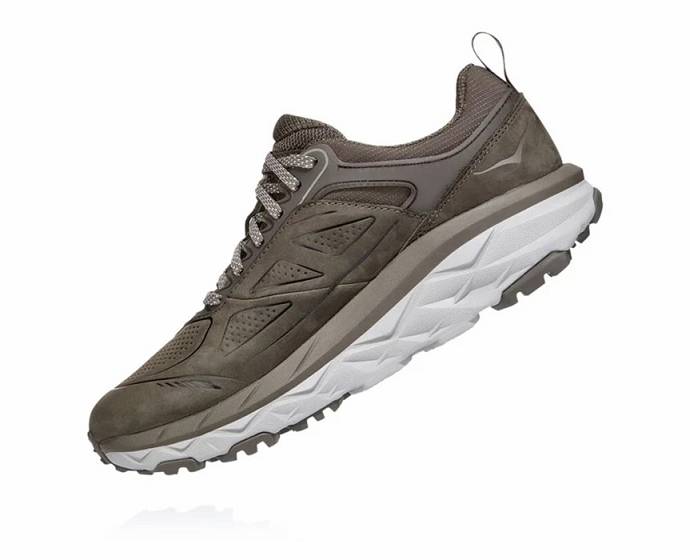 Dámské Turistické Boty Hoka Challenger Low GORE-TEX Hnědé | CZ-4212345