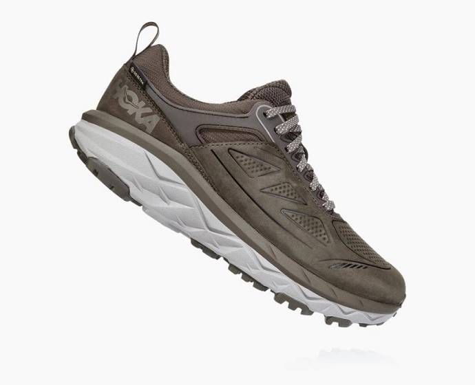 Dámské Turistické Boty Hoka Challenger Low GORE-TEX Hnědé | CZ-4798201