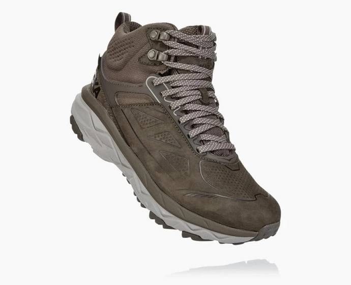 Dámské Turistické Boty Hoka Challenger Mid GORE-TEX Široké Hnědé | CZ-1709486