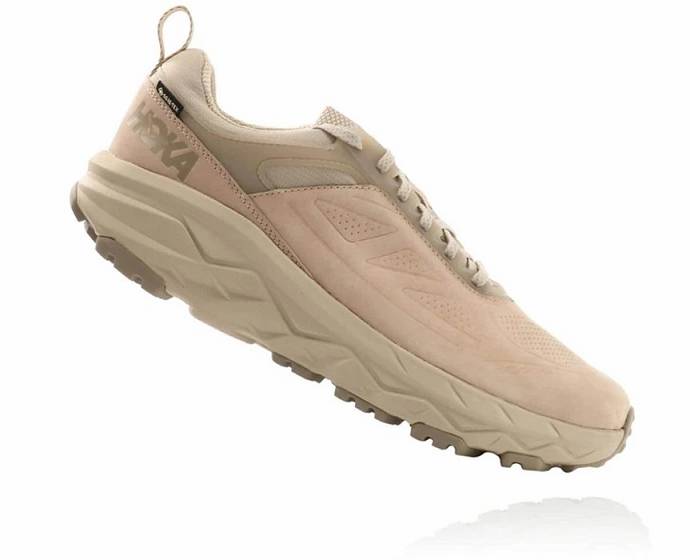 Pánské Trailové Běžecké Boty Hoka Challenger Low GORE-TEX Široké Hnědožlutý | CZ-4267089