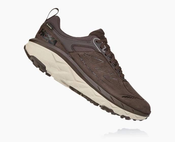 Pánské Trailové Běžecké Boty Hoka Challenger Low GORE-TEX Široké Káva | CZ-7261435