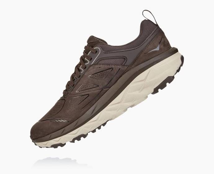 Pánské Trailové Běžecké Boty Hoka Challenger Low GORE-TEX Široké Káva | CZ-7261435