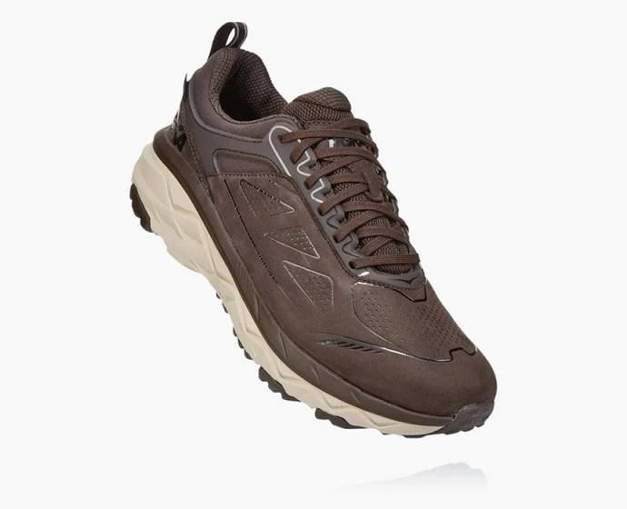 Pánské Trailové Běžecké Boty Hoka Challenger Low GORE-TEX Široké Káva | CZ-7261435